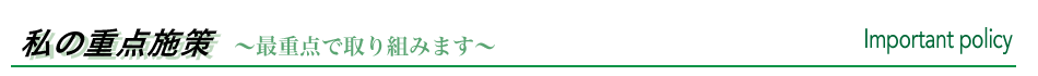私の重点施策